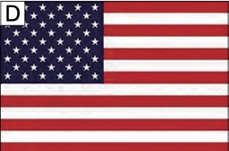 Flag of USA