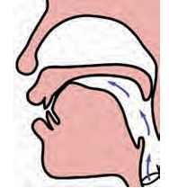 Pronunciation of j