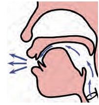 Pronunciation of q