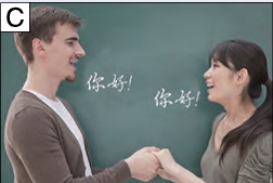图片C