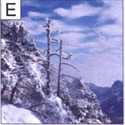 E