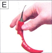 图E