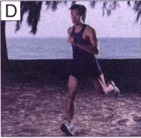 Image D