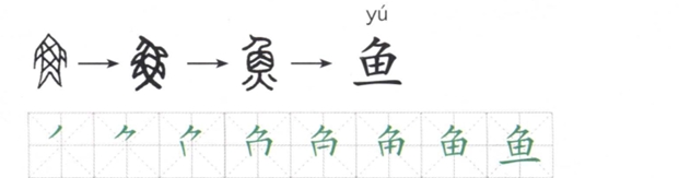 鱼的字体演变