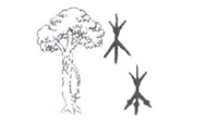 本的图片