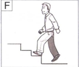 图F