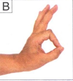 B