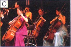 图C