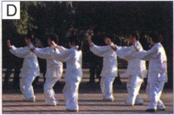 图D
