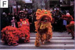 图片F