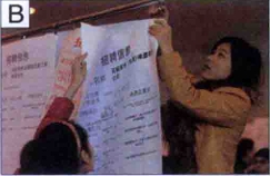 图片B