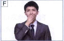 图片F