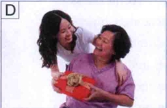 图片D