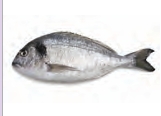 yú